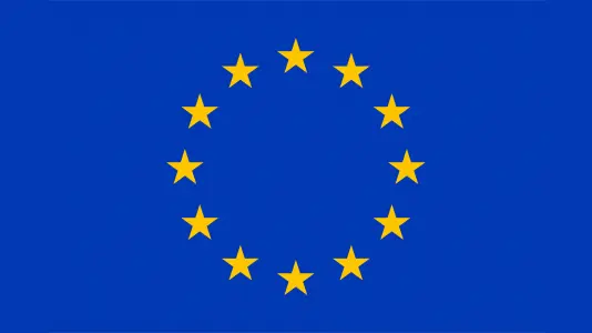 An image of European Union flag