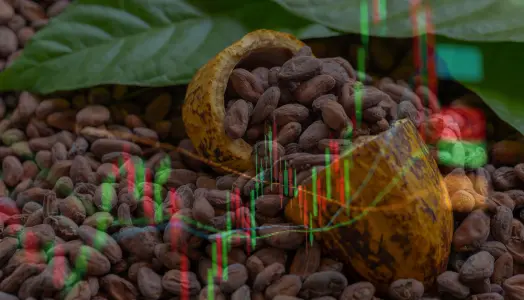 An image of cocoa overlayed on a financial market chart