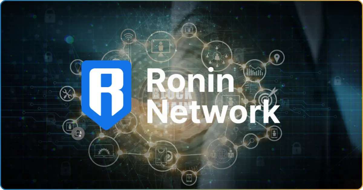 The Ronin Network Hack Use Case: USD 600 Million Lost Gaming Investment  